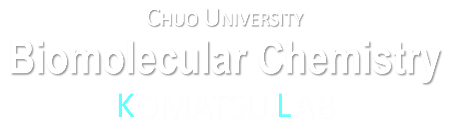 Komatsu Lab Chuo University