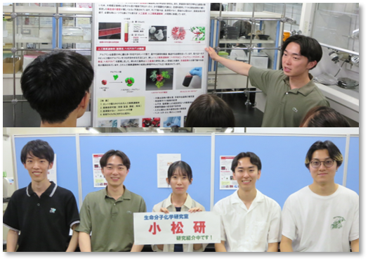 写真の説明を入れます