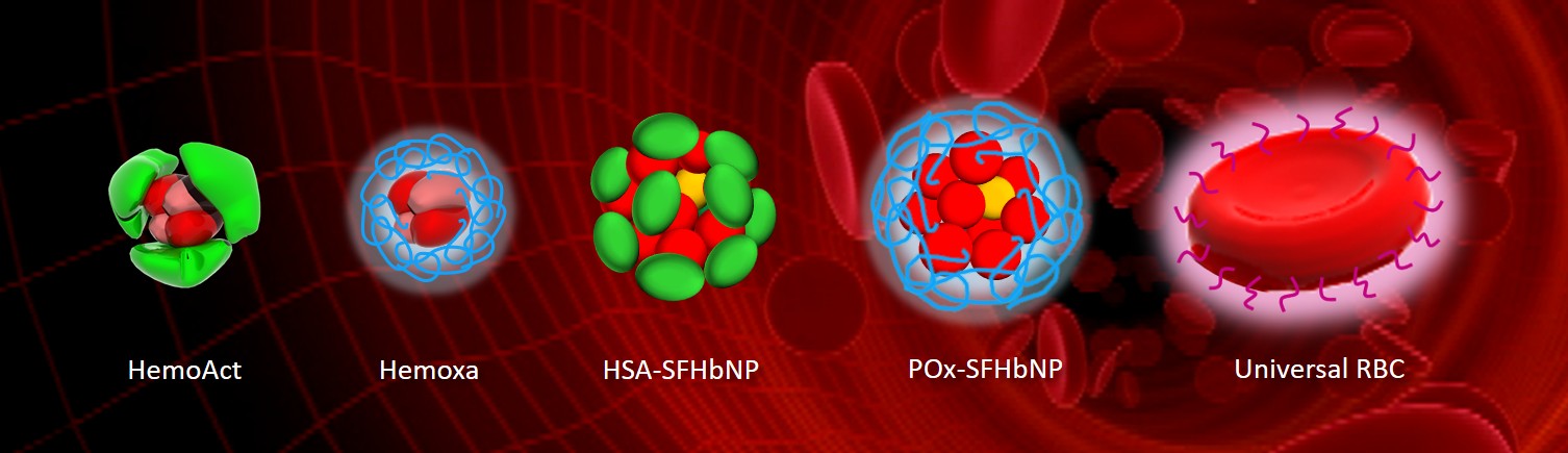 写真の説明を入れます