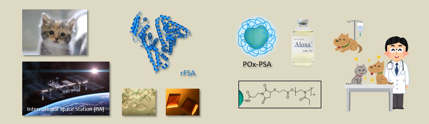写真の説明を入れます